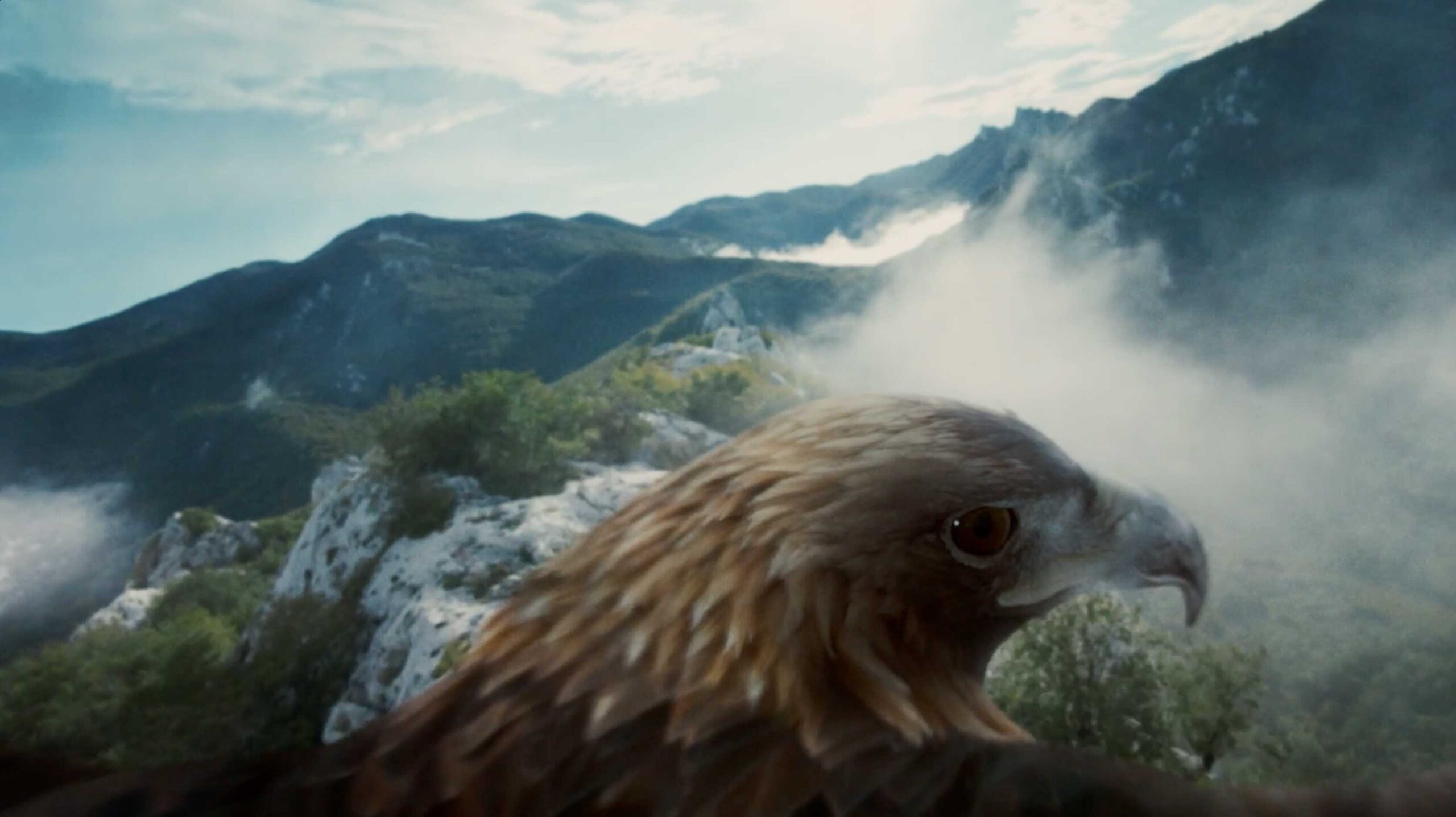 Standard Chartered – Through Different Eyes